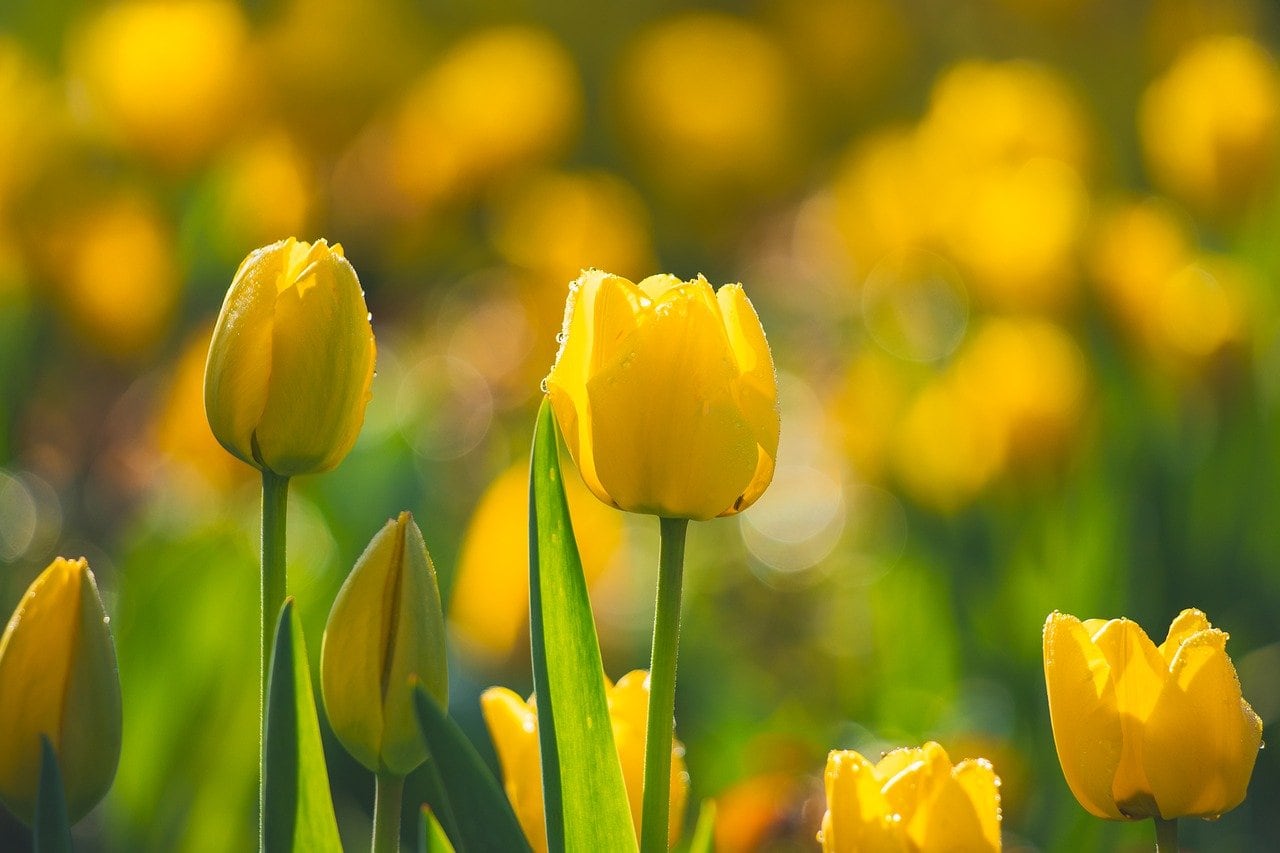 The%20All New%20Paste%20for%20iOS